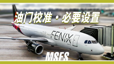 刚买完  Fenix   A320  该干啥？