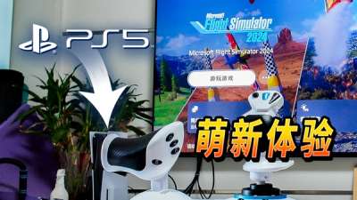 **设计:萌新体验微软模拟飞行 2024