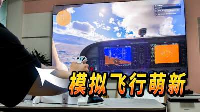 这糟糕的新手体验由富可敌国的公司设计：微软模拟飞行 2024