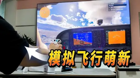 我见过最差的新玩家体验：微软模拟飞行 2024
