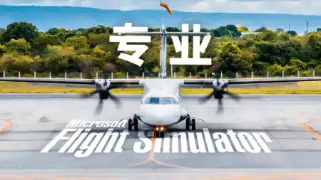 越专业，越有自己的想法