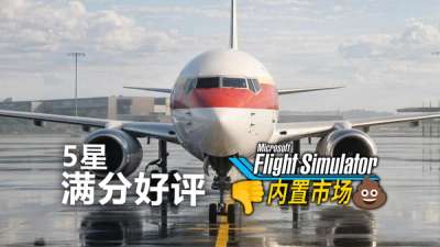 微软模拟飞行内置市场被玩儿坏了