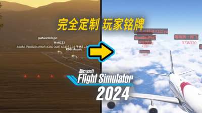 免费插件拯救微软模拟飞行 2024 糟糕铭牌:Nameplate Custom Color