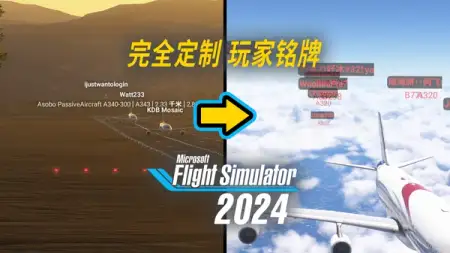 免费插件拯救微软模拟飞行 2024 糟糕铭牌：Nameplate Custom Color