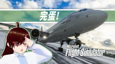 着陆负面教材: 我搞坏了客机起落架 (A320ceo  VS   BGBW / 06 )